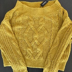 NWT express sweater! Various sizes